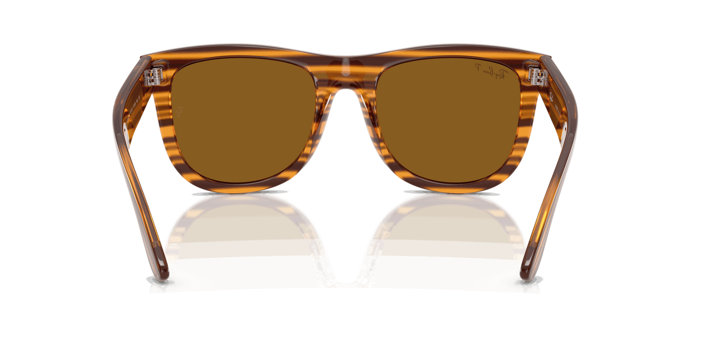[Polar Dark Brown Lenses, Polished Striped Havana Frame]