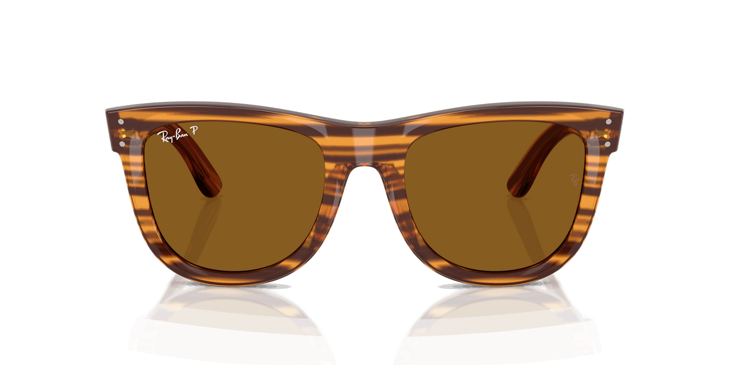 [Polar Dark Brown Lenses, Polished Striped Havana Frame]