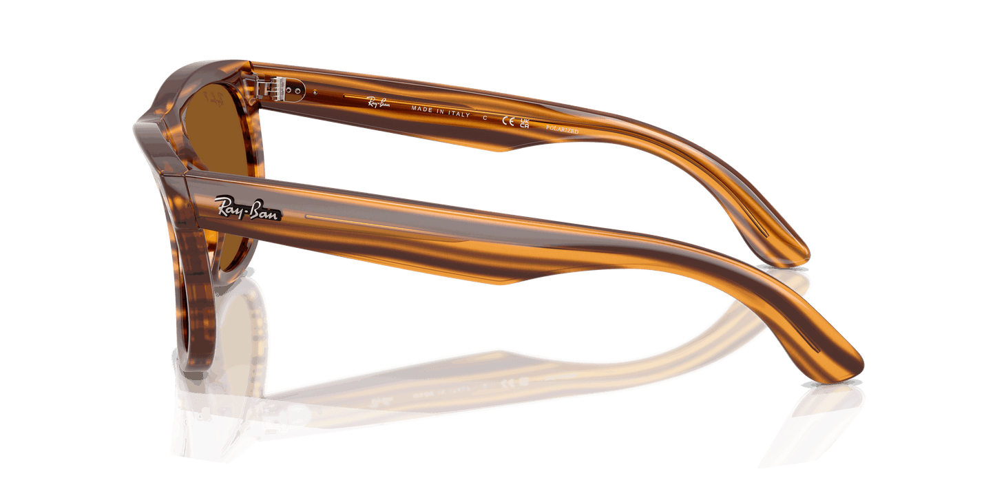 [Polar Dark Brown Lenses, Polished Striped Havana Frame]