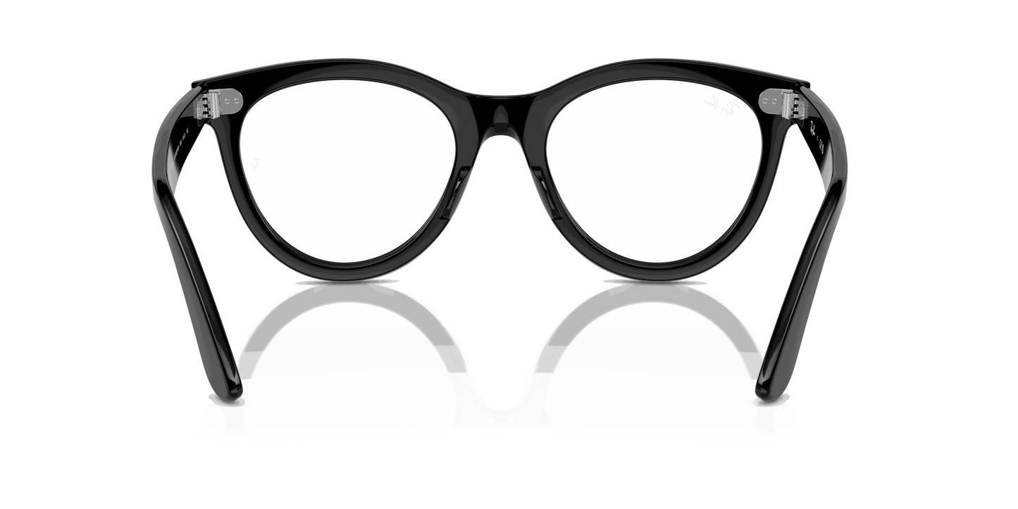 [Clear Lenses, Polished Black Frame]