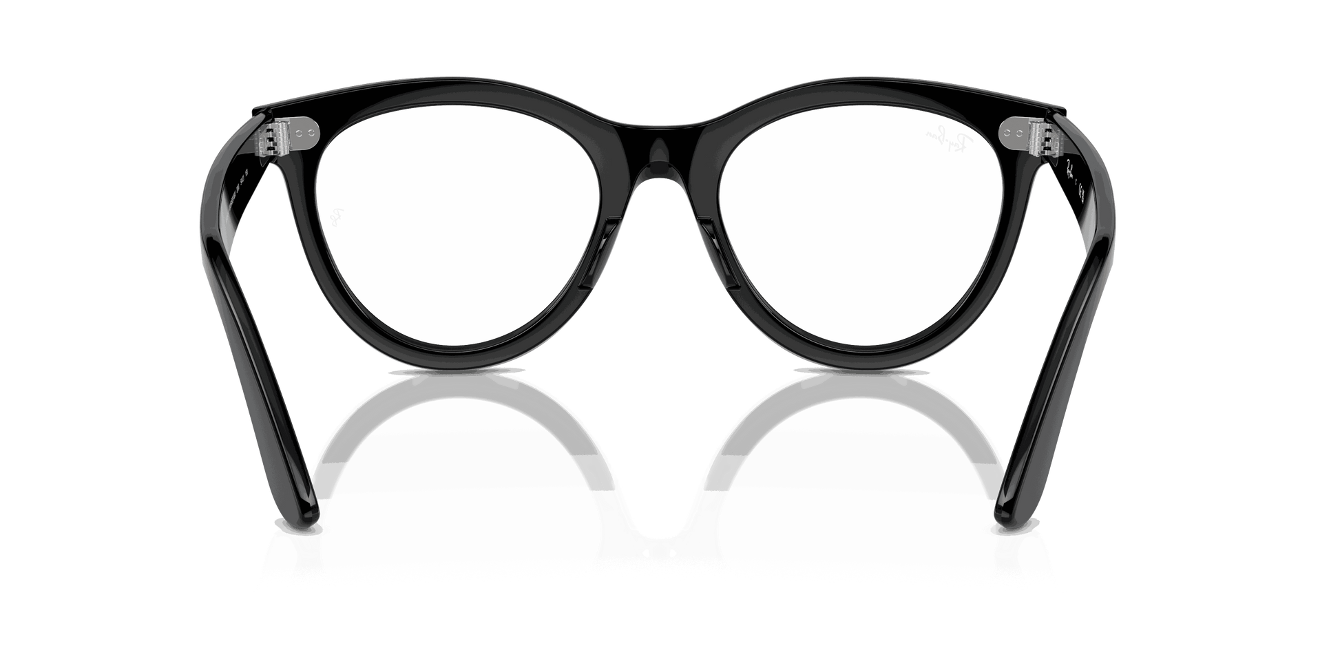 [Clear Lenses, Polished Black Frame]