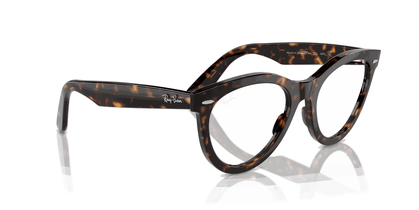 [Clear Lenses, Polished Havana Frame]