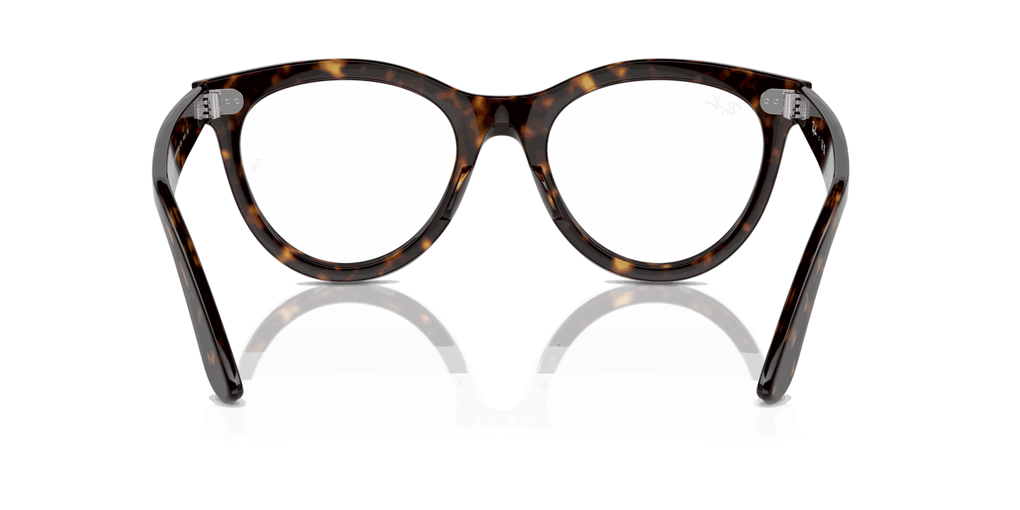 [Clear Lenses, Polished Havana Frame]