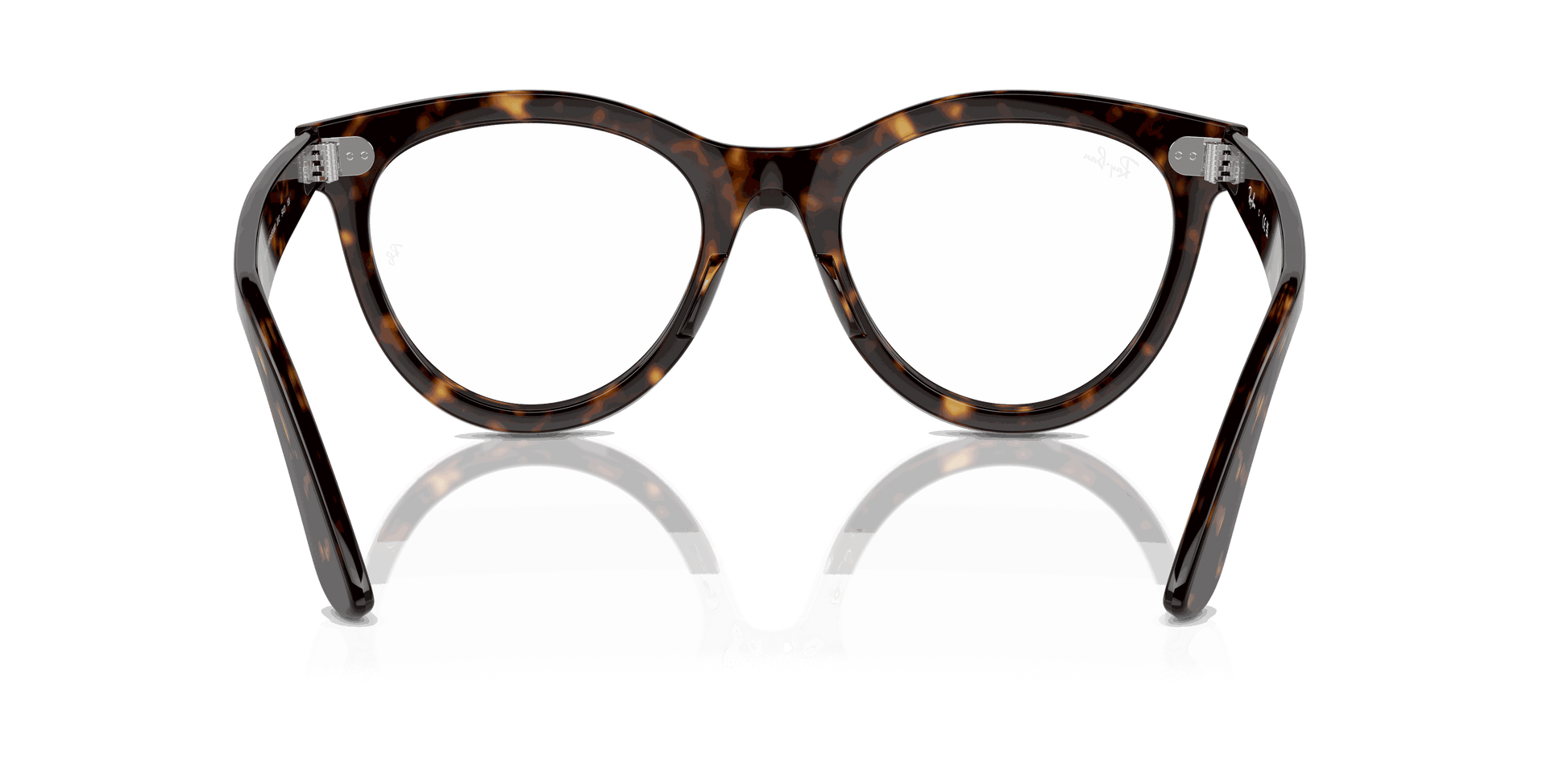 [Clear Lenses, Polished Havana Frame]