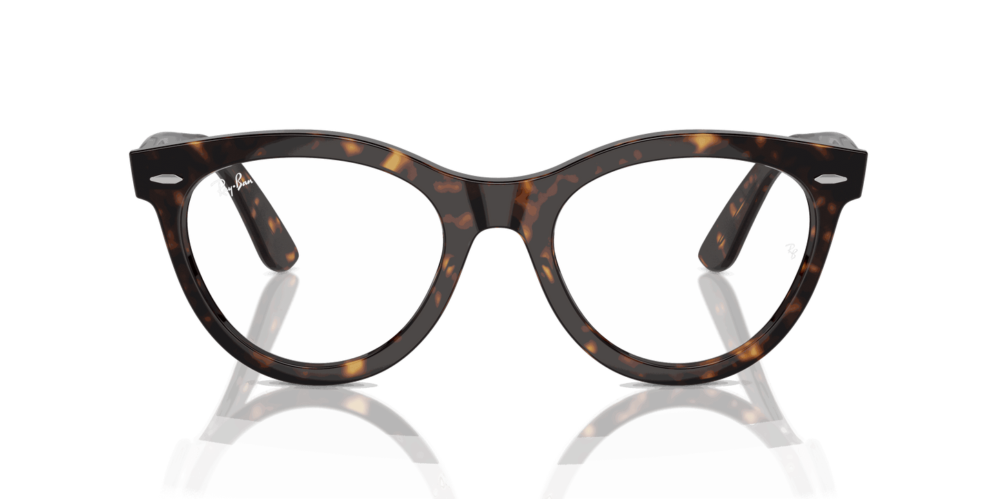 [Clear Lenses, Polished Havana Frame]