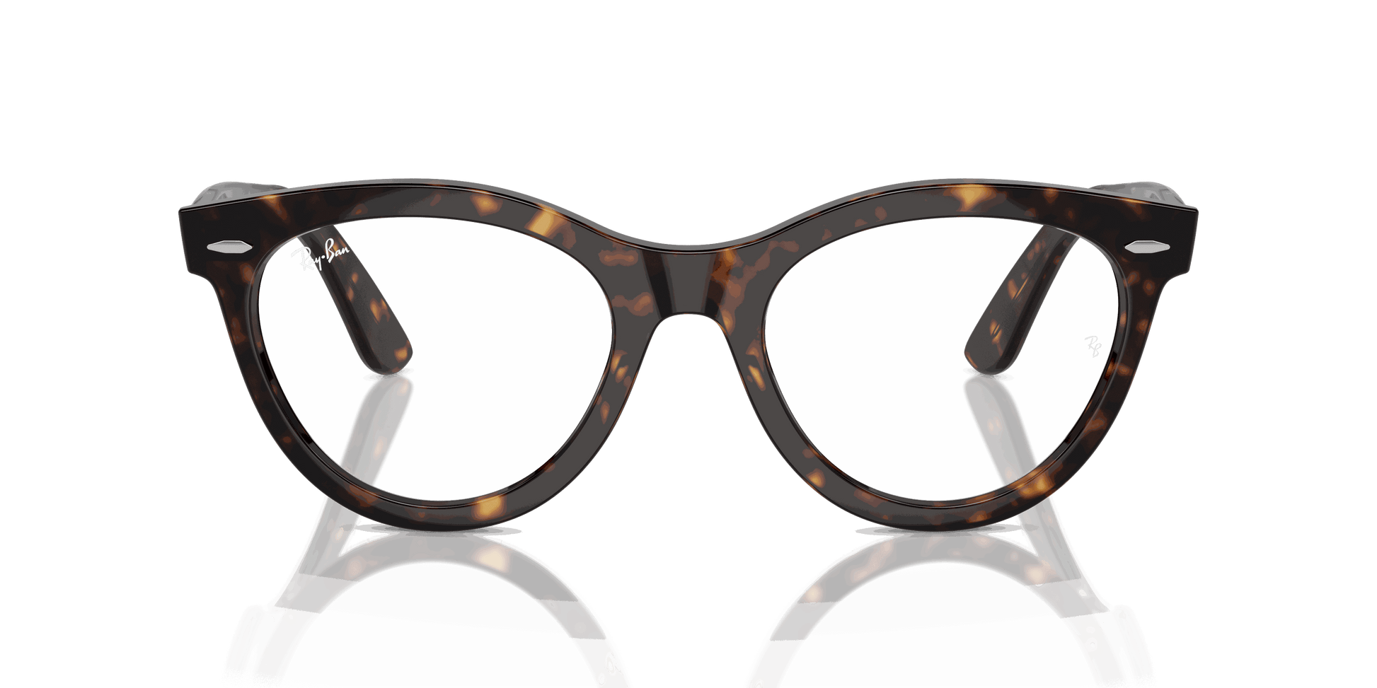 [Clear Lenses, Polished Havana Frame]