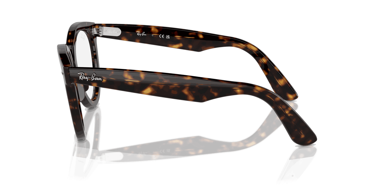 [Clear Lenses, Polished Havana Frame]