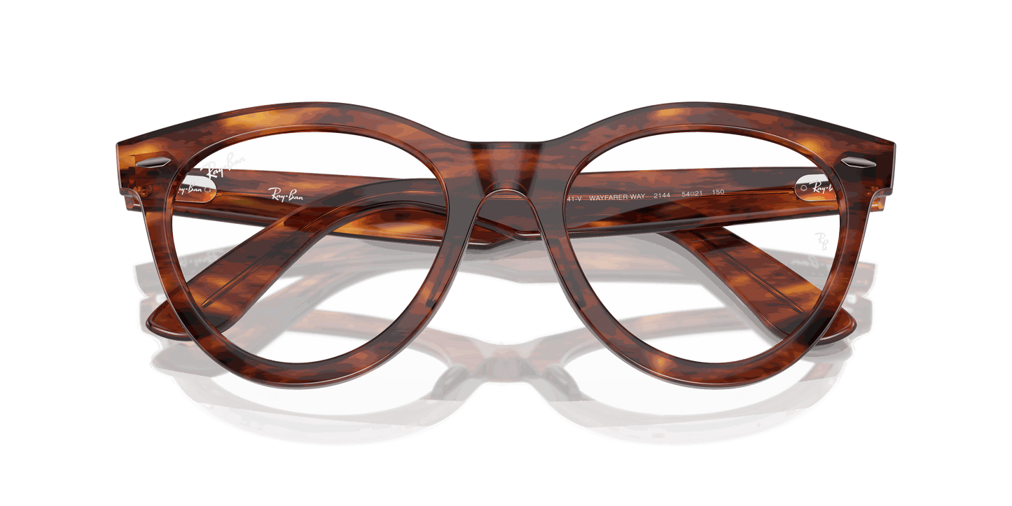 [Clear Lenses, Polished Striped Havana Frame]