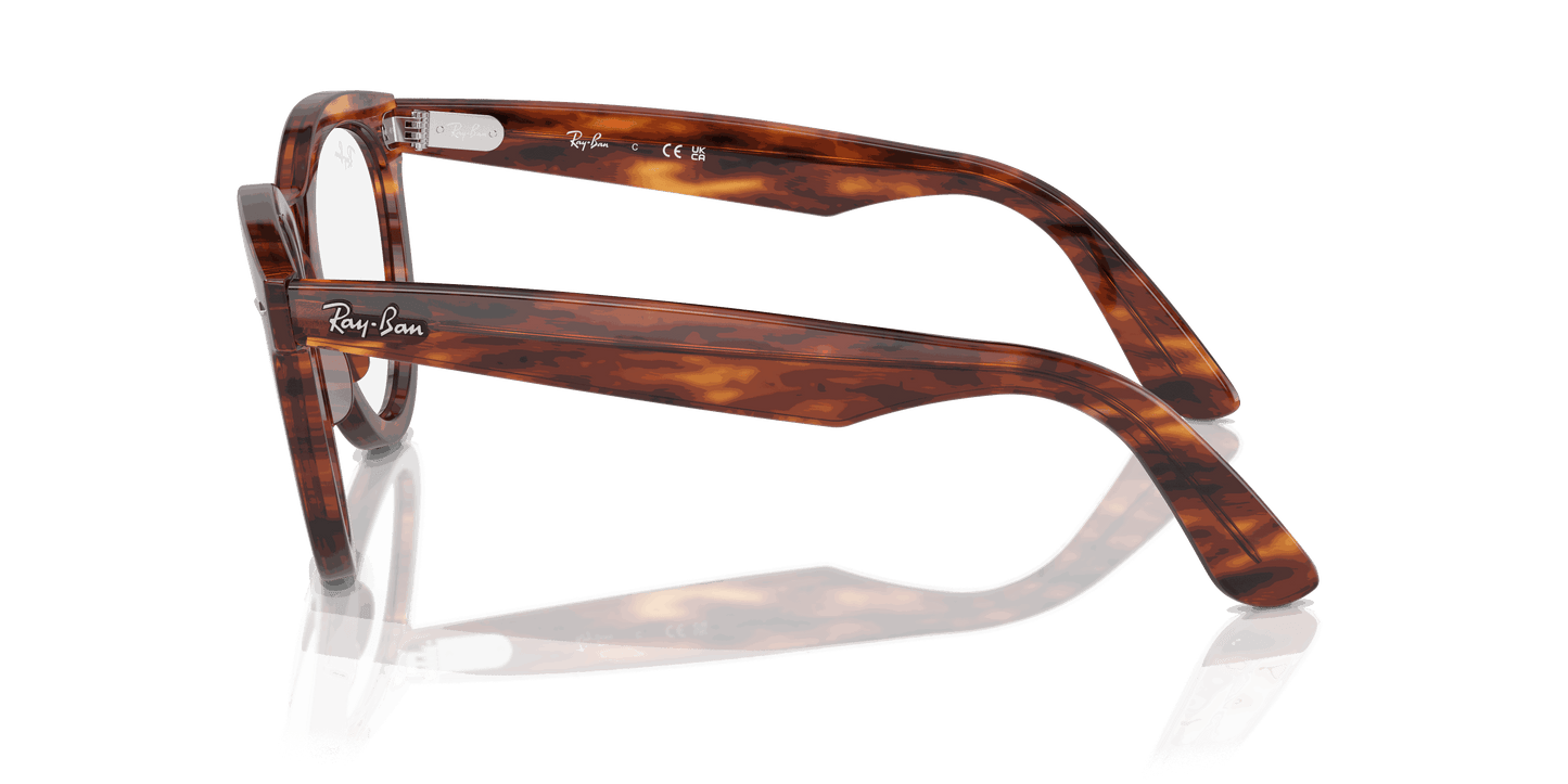 [Clear Lenses, Polished Striped Havana Frame]