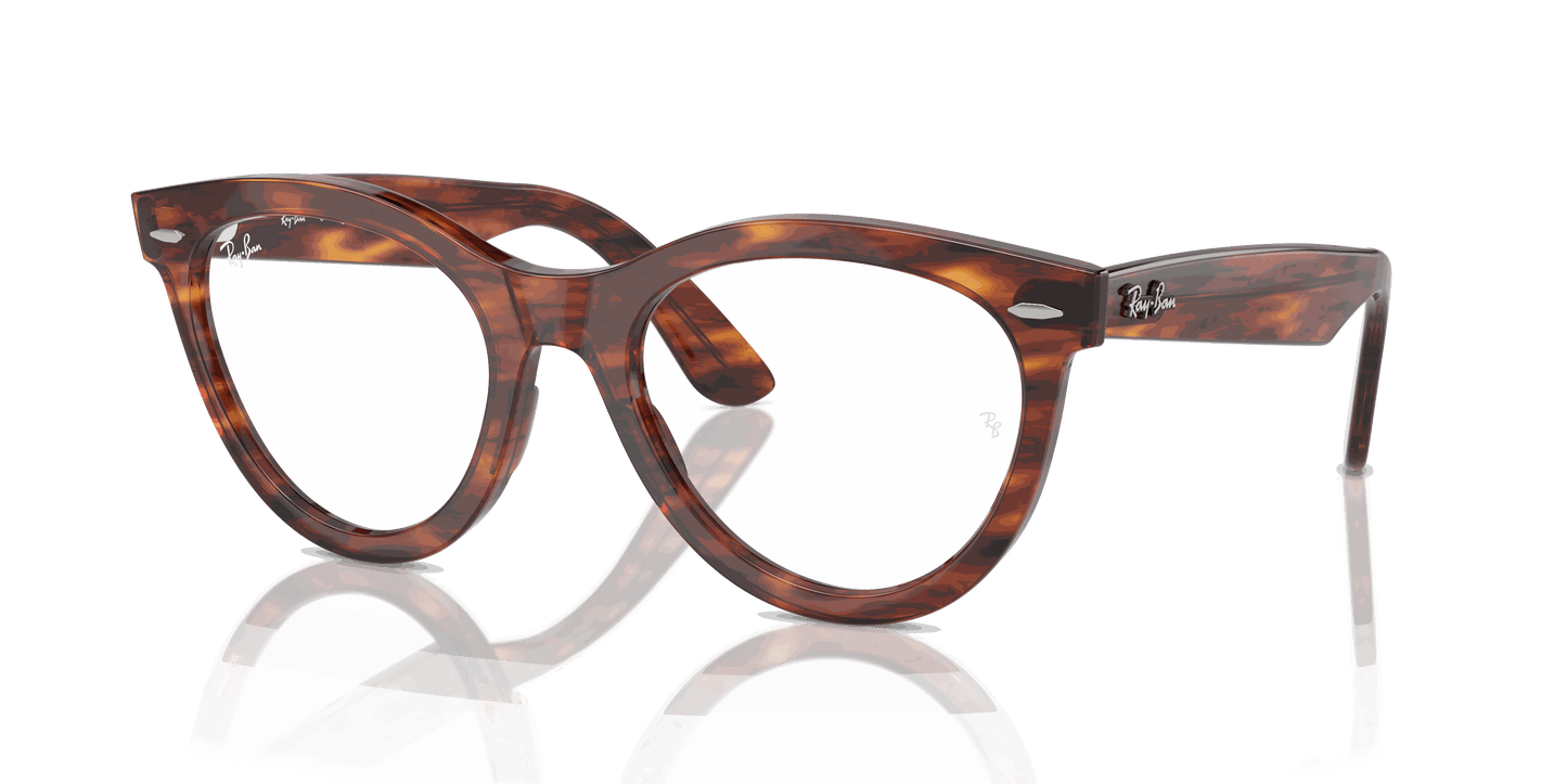 [Clear Lenses, Polished Striped Havana Frame]