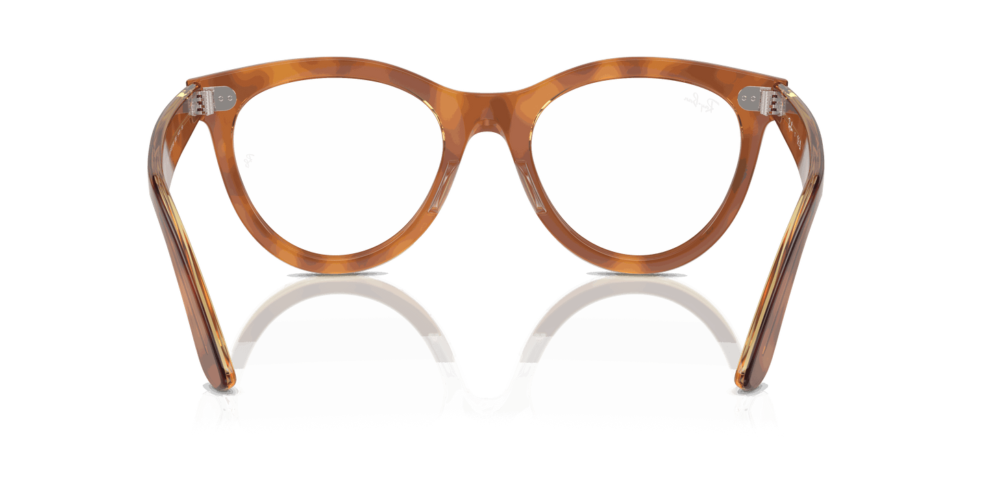 [Clear Lenses, Polished Havana On Transparent Brown Frame]