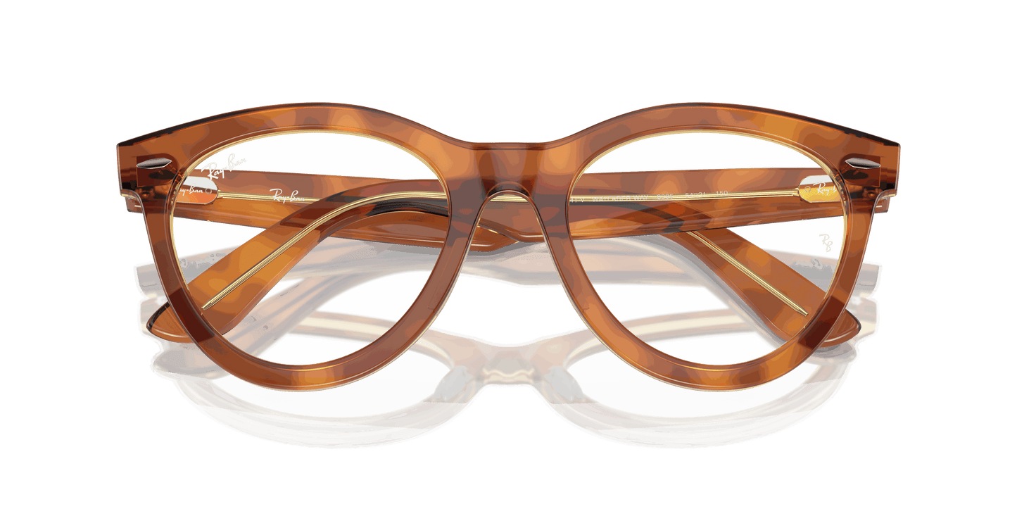 [Clear Lenses, Polished Havana On Transparent Brown Frame]