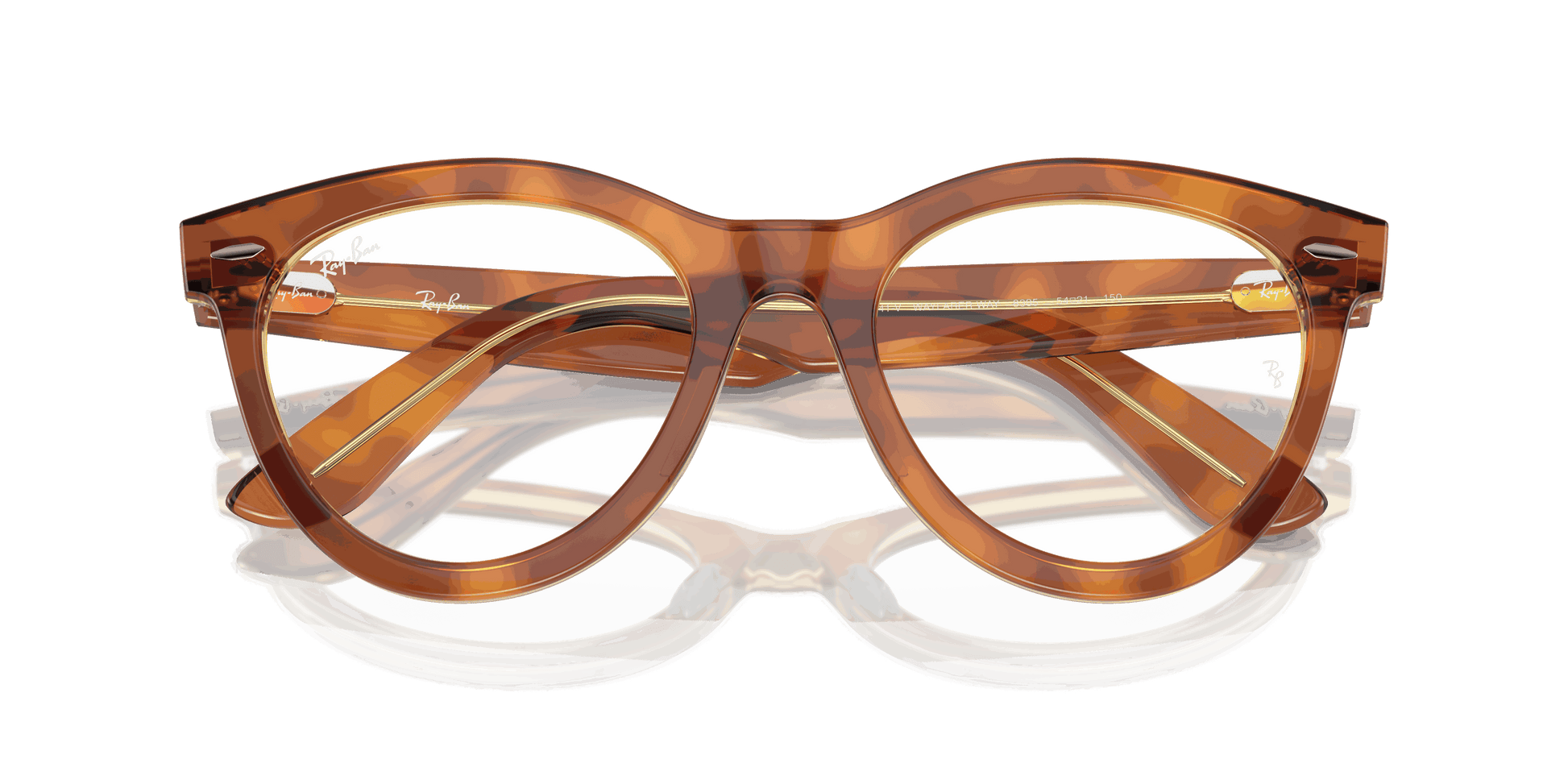 [Clear Lenses, Polished Havana On Transparent Brown Frame]