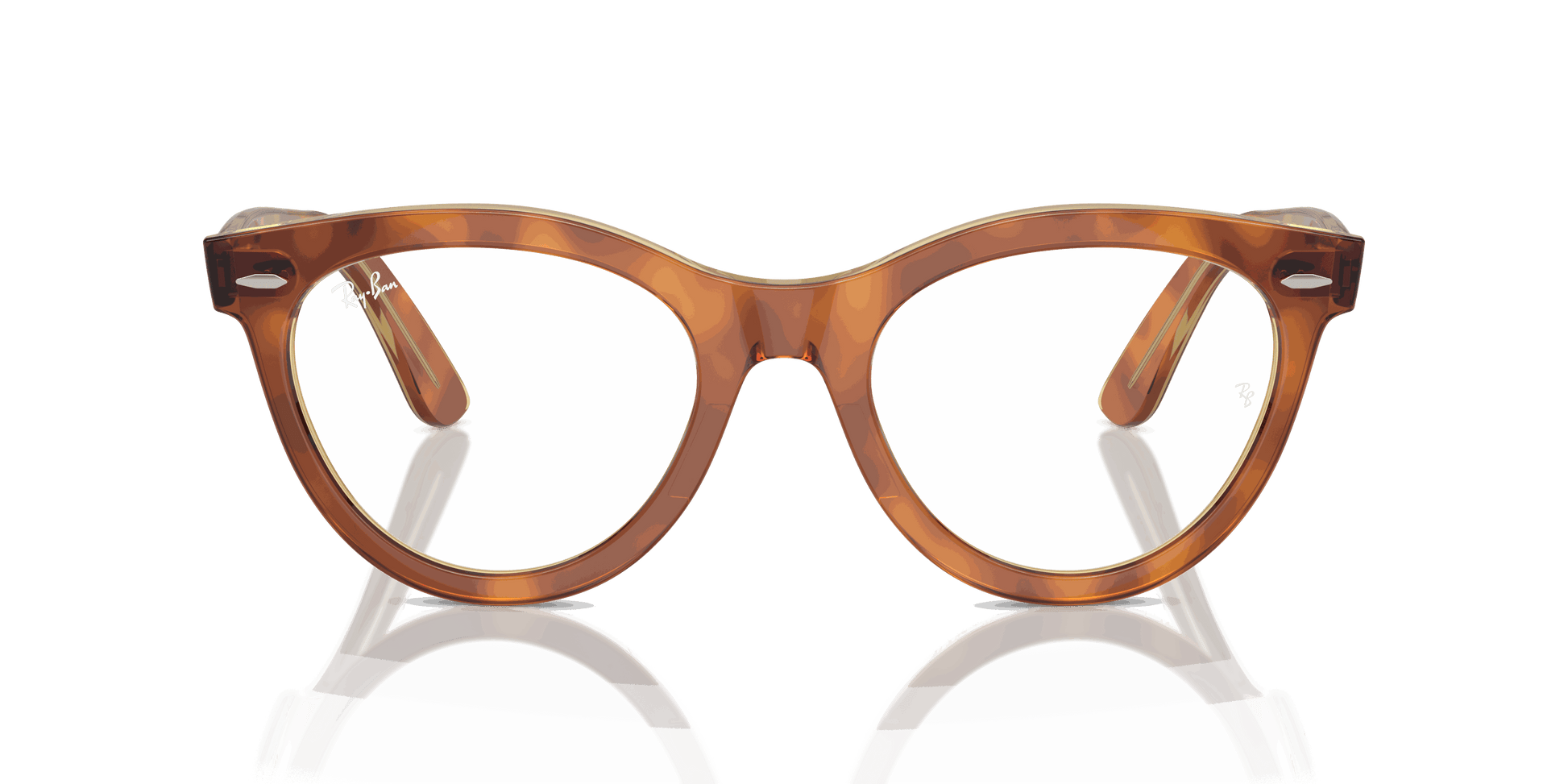 [Clear Lenses, Polished Havana On Transparent Brown Frame]
