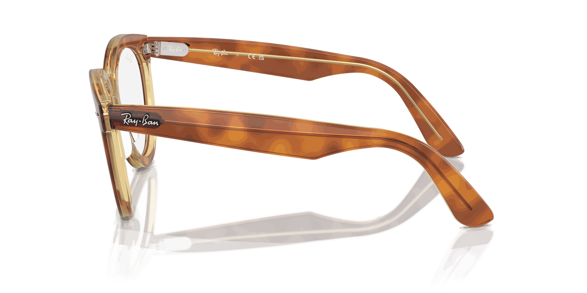 [Clear Lenses, Polished Havana On Transparent Brown Frame]