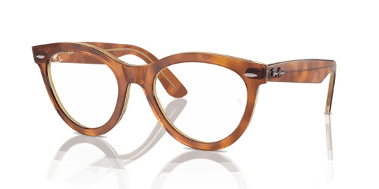 [Clear Lenses, Polished Havana On Transparent Brown Frame]