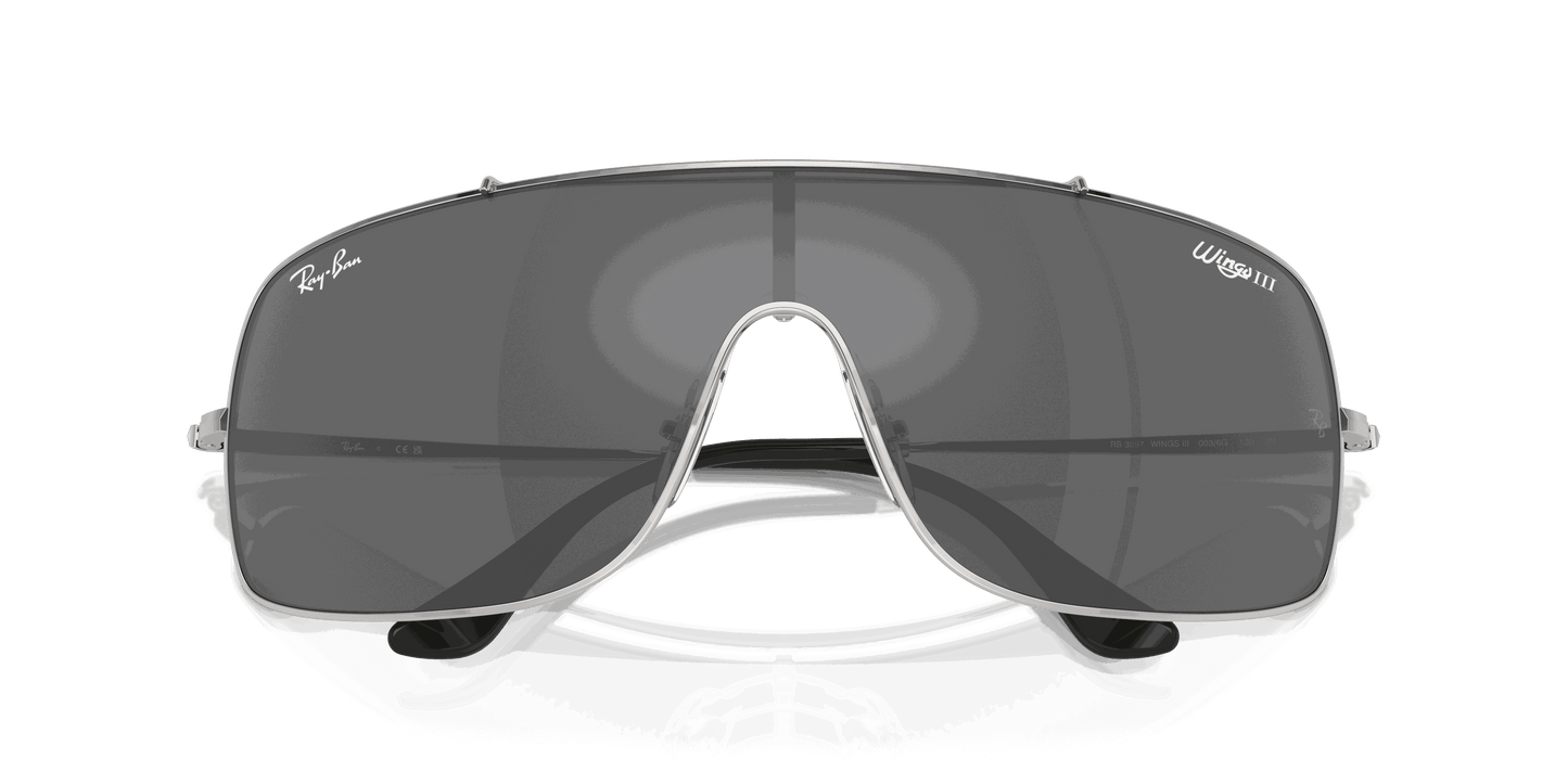 [Grey Lenses, Polished Silver Frame]