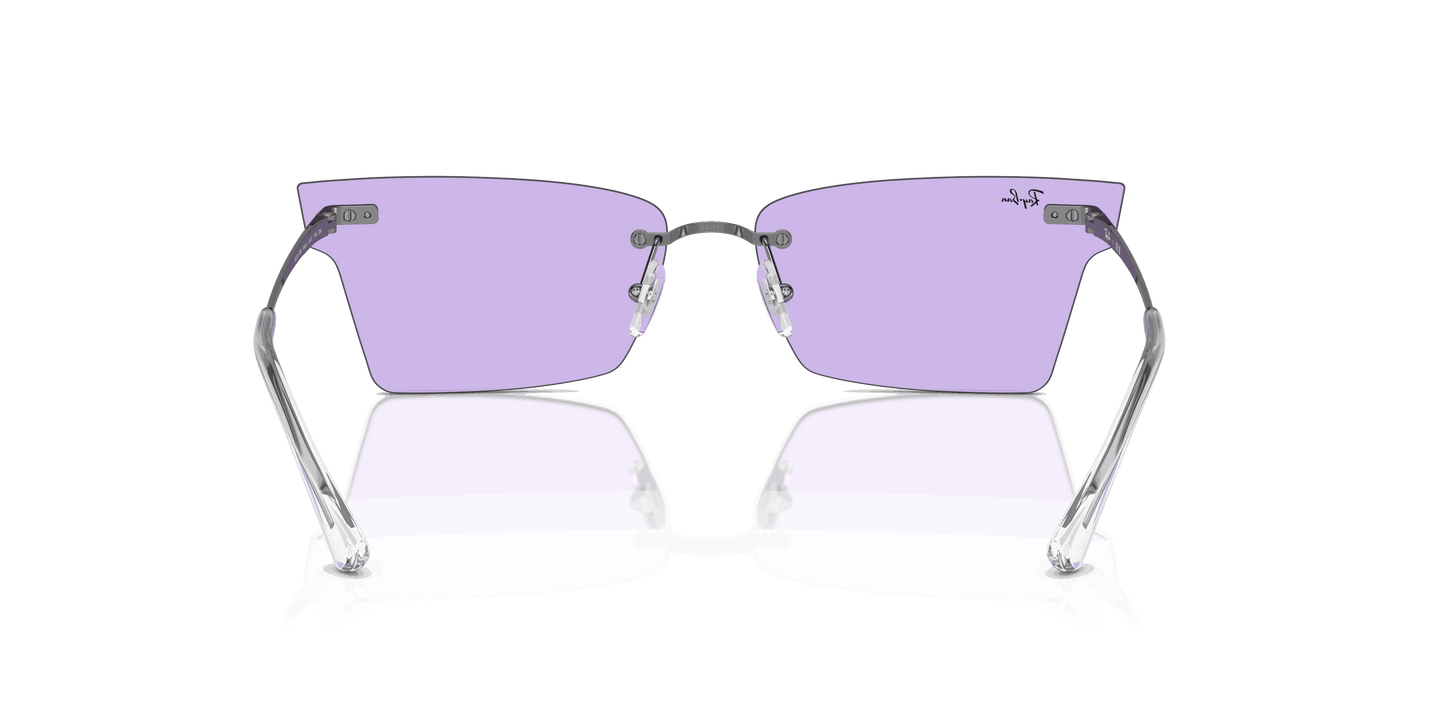 [Violet Lenses, Polished Gunmetal Frame]