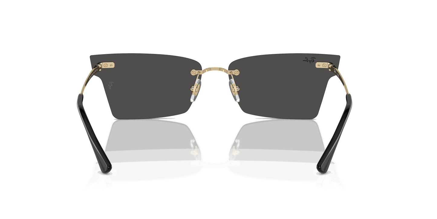 [Dark Grey Lenses, Polished Light Gold Frame]