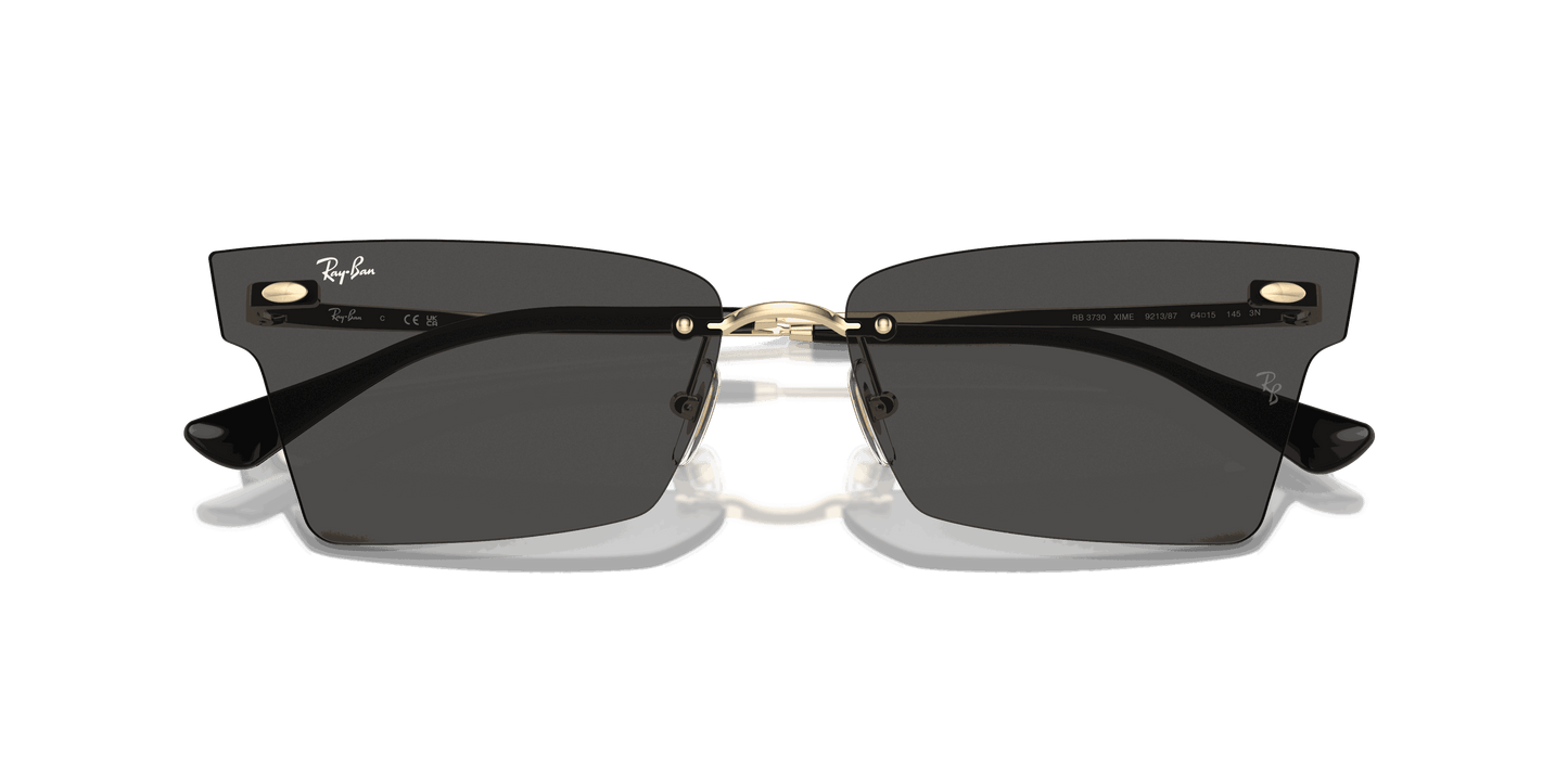 [Dark Grey Lenses, Polished Light Gold Frame]