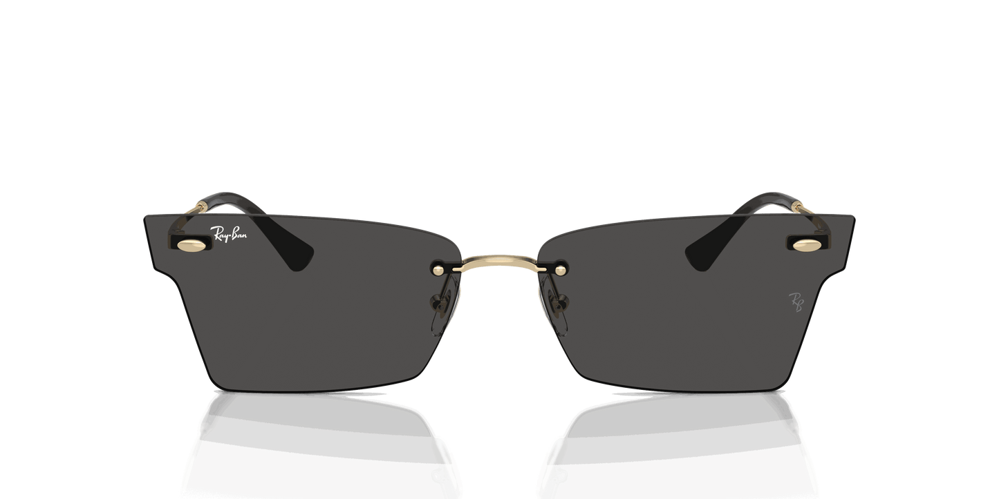 [Dark Grey Lenses, Polished Light Gold Frame]