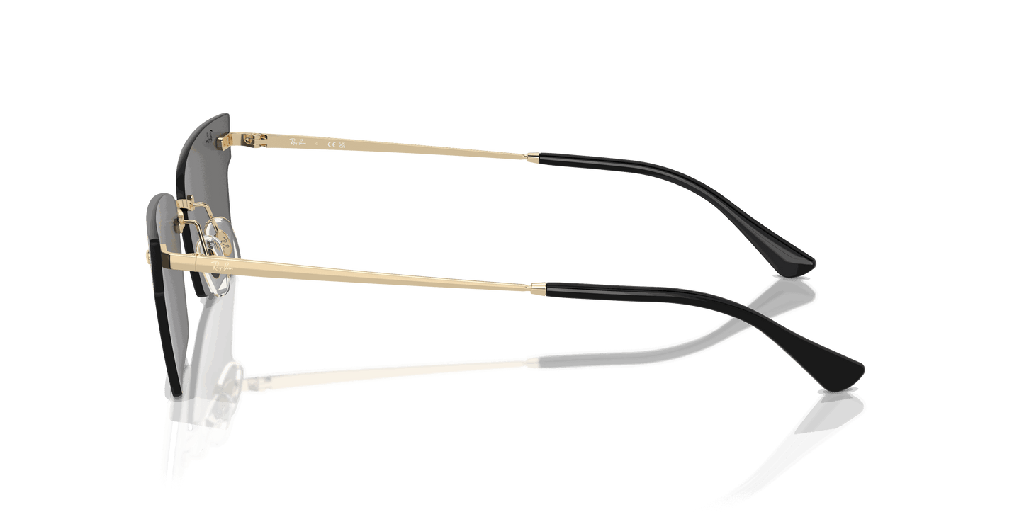 [Dark Grey Lenses, Polished Light Gold Frame]