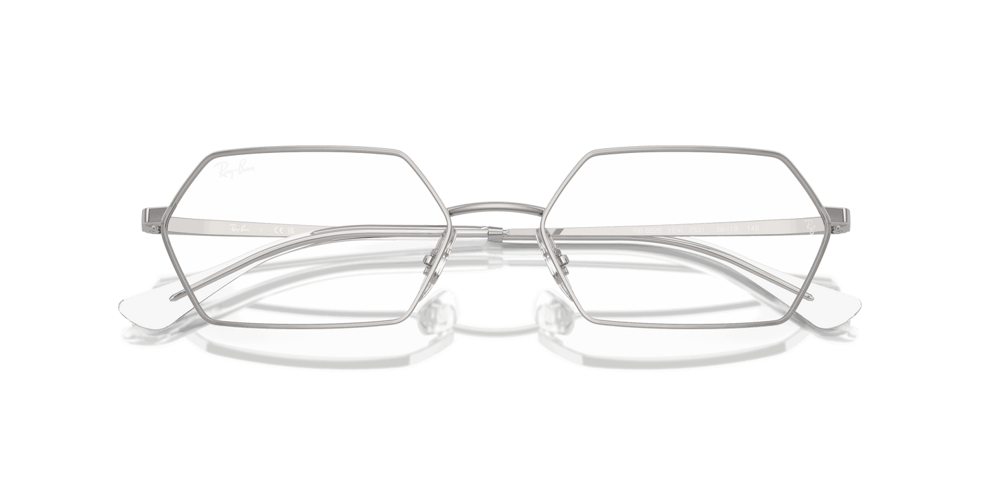 [Clear Lenses, Polished Silver Frame]