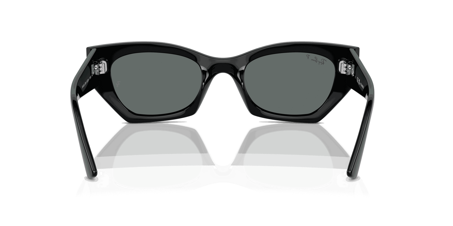 [Dark Grey Lenses, Polished Black Frame]