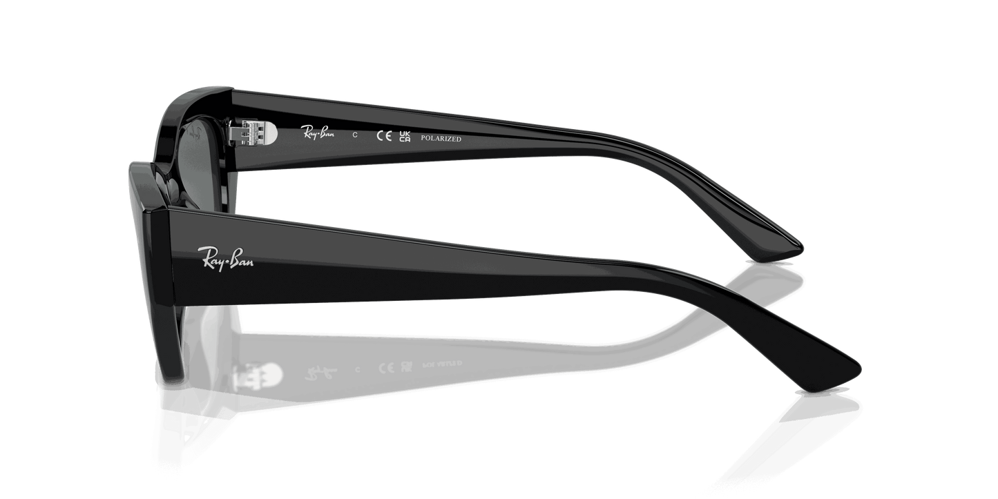 [Dark Grey Lenses, Polished Black Frame]