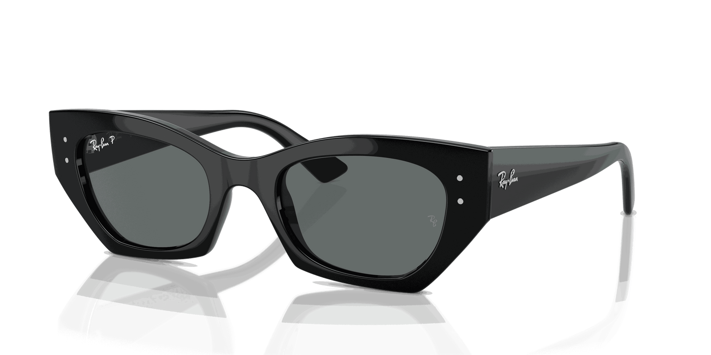 [Dark Grey Lenses, Polished Black Frame]