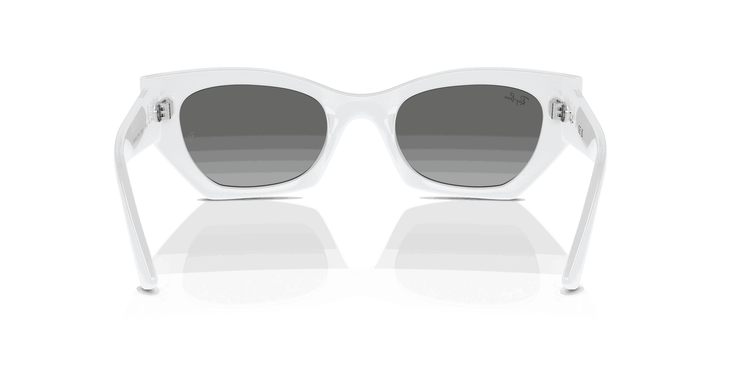 [Grey Lenses, Polished White Snow Frame]
