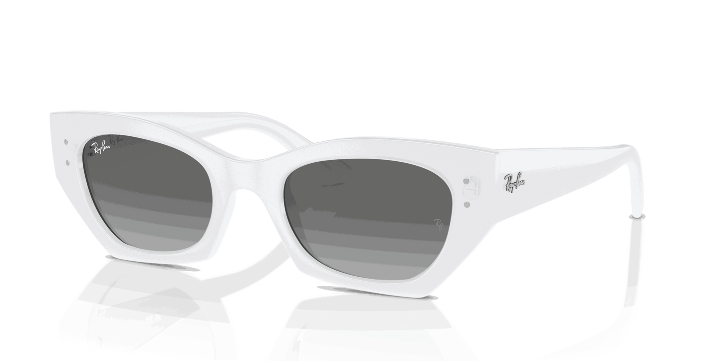 [Grey Lenses, Polished White Snow Frame]