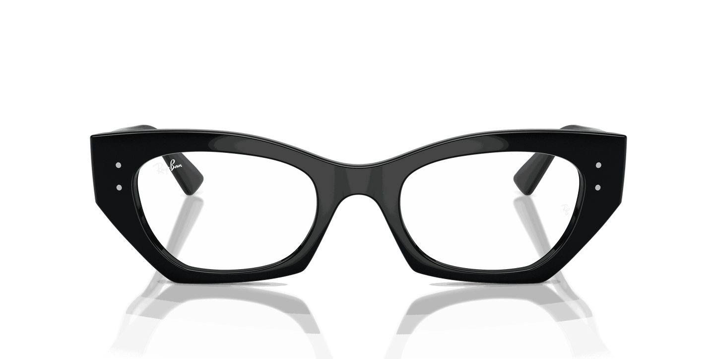 [Clear Lenses, Polished Black Frame]