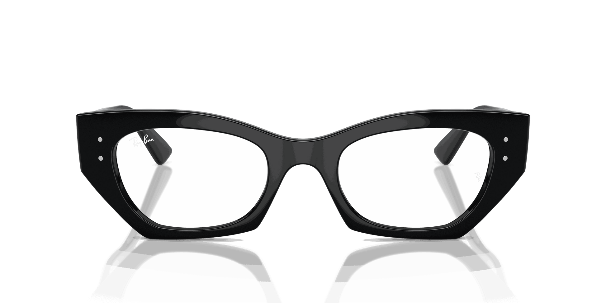 [Clear Lenses, Polished Black Frame]