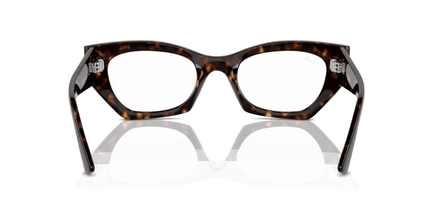 [Clear Lenses, Polished Havana Frame]