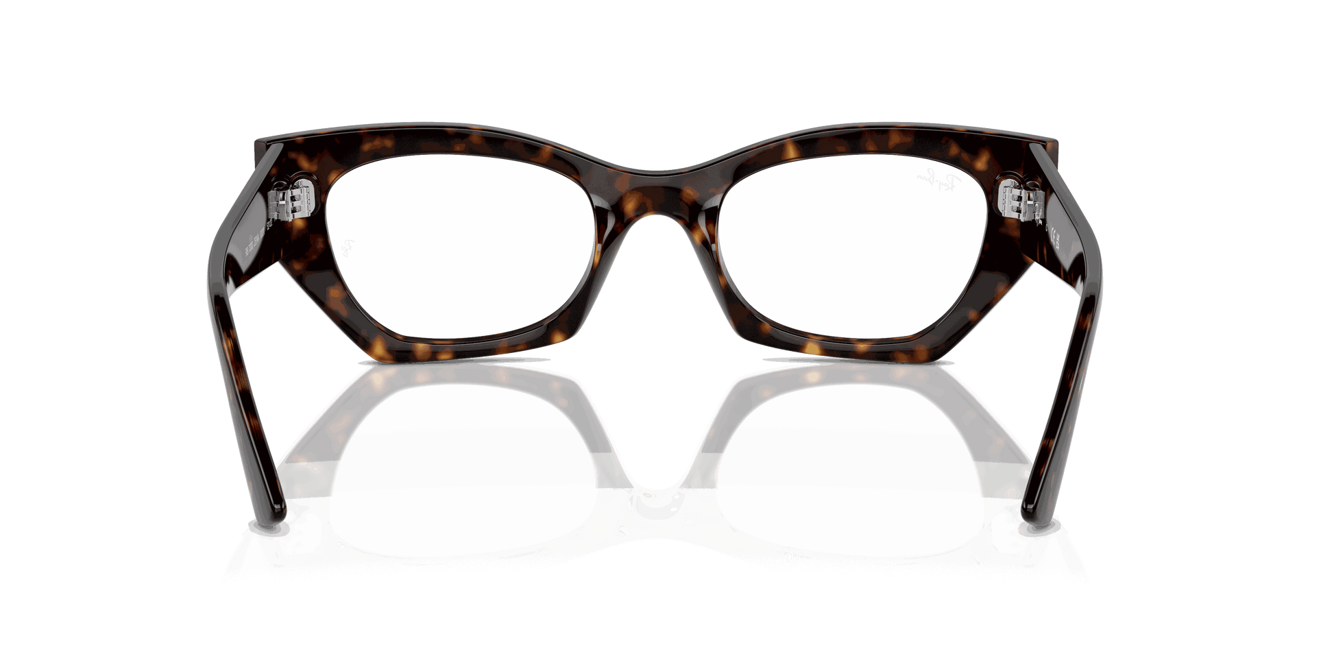 [Clear Lenses, Polished Havana Frame]