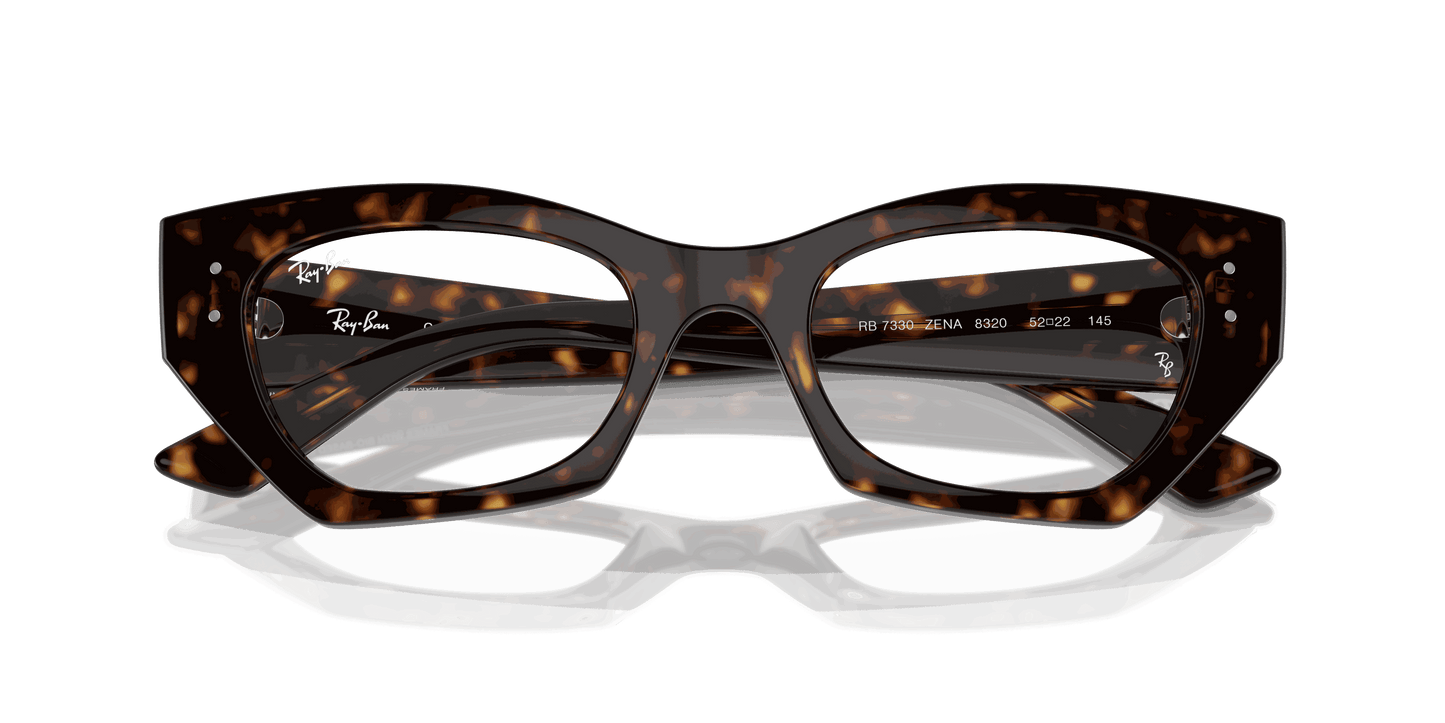 [Clear Lenses, Polished Havana Frame]