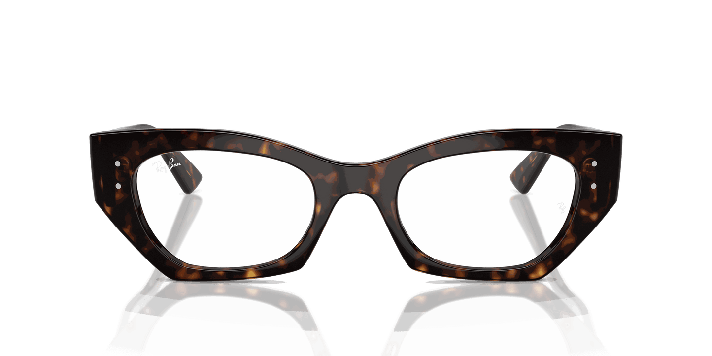 [Clear Lenses, Polished Havana Frame]