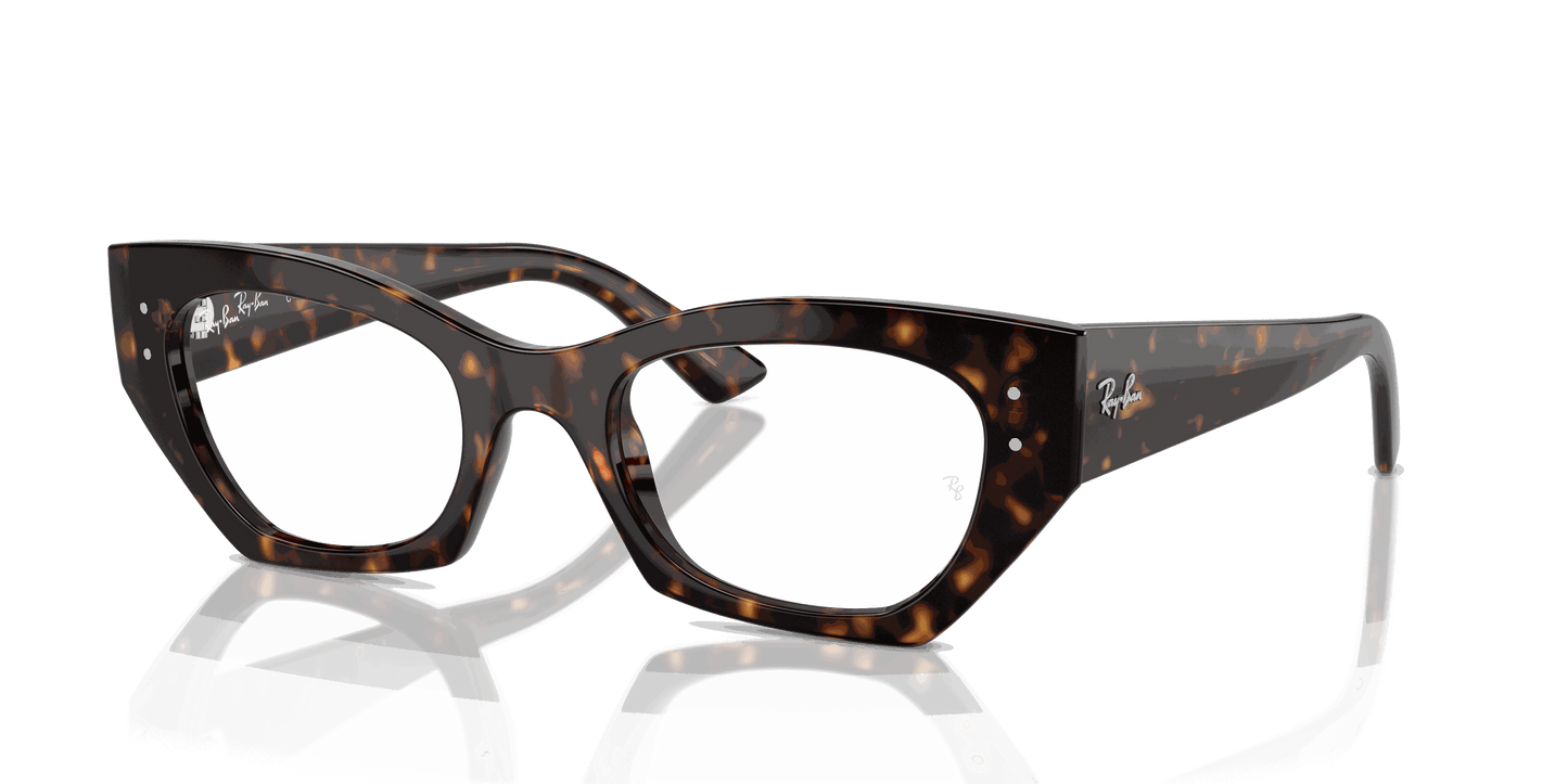 [Clear Lenses, Polished Havana Frame]