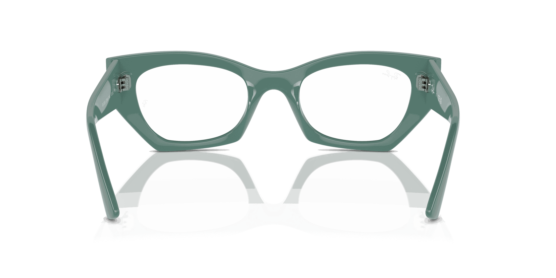 [Clear Lenses, Polished Algae Green Frame]