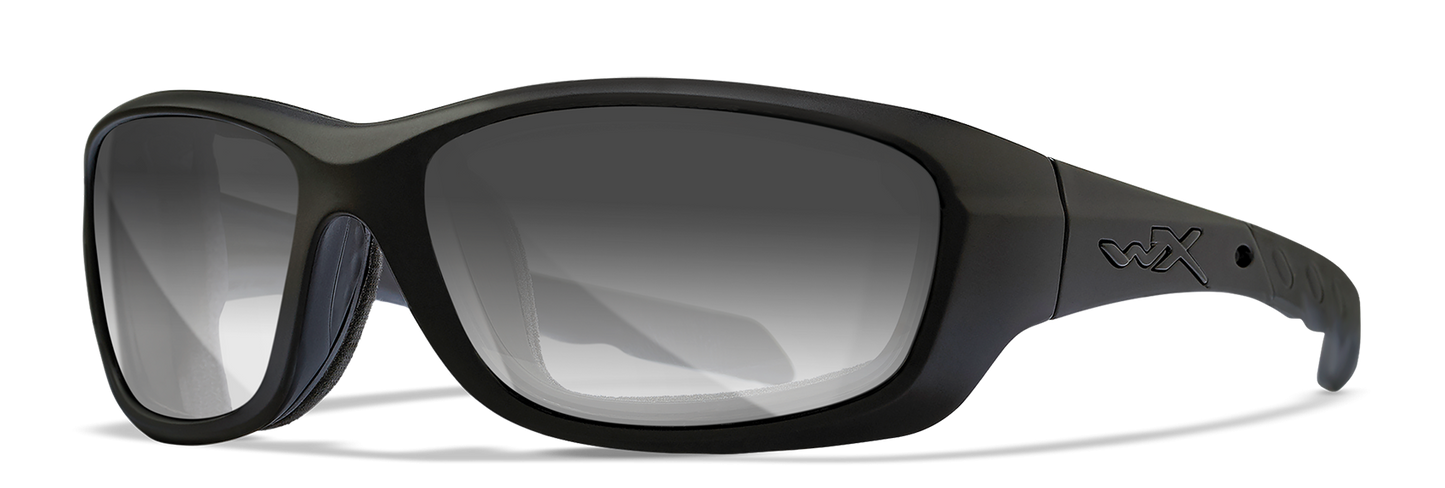 [Matte Black/Photochromic Smoke Grey]