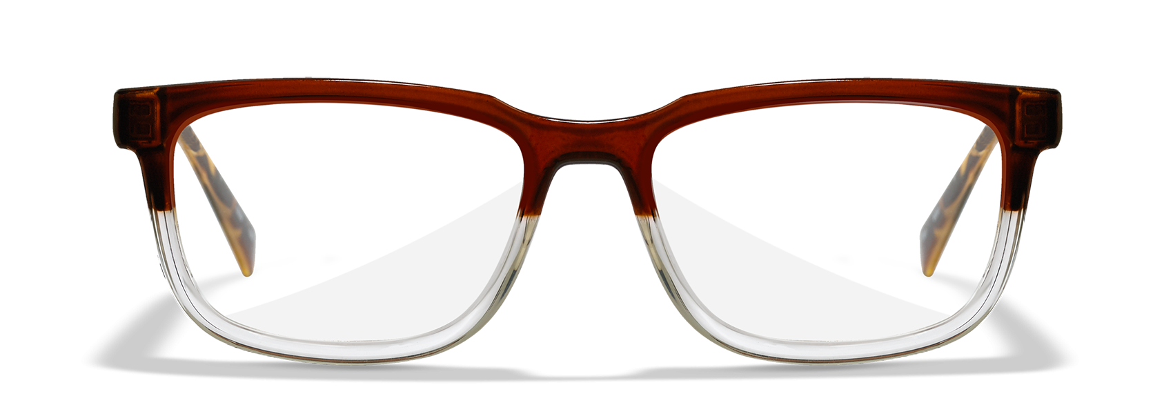 [Gloss Brown/Clear]