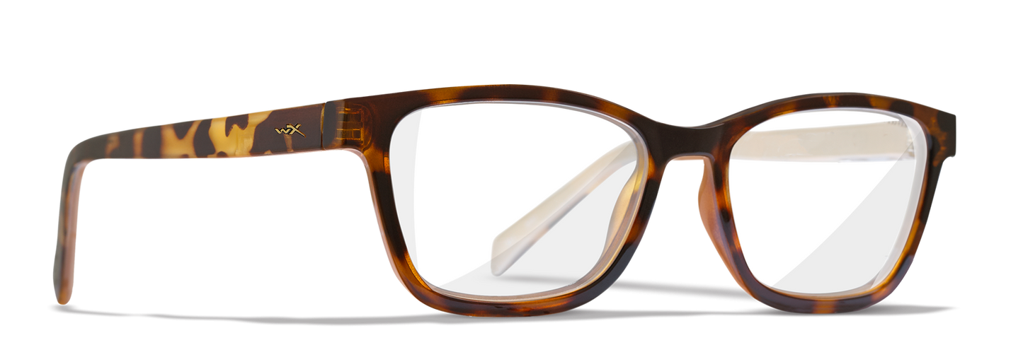 [Gloss Brown Demi/Clear]