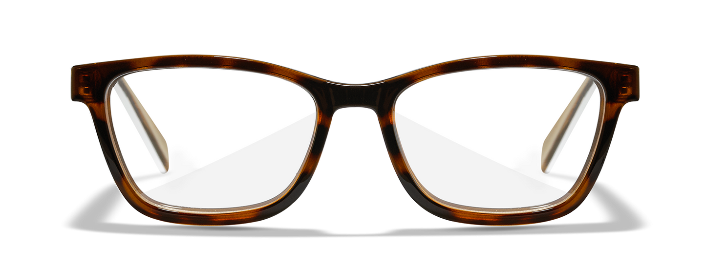 [Gloss Brown Demi/Clear]