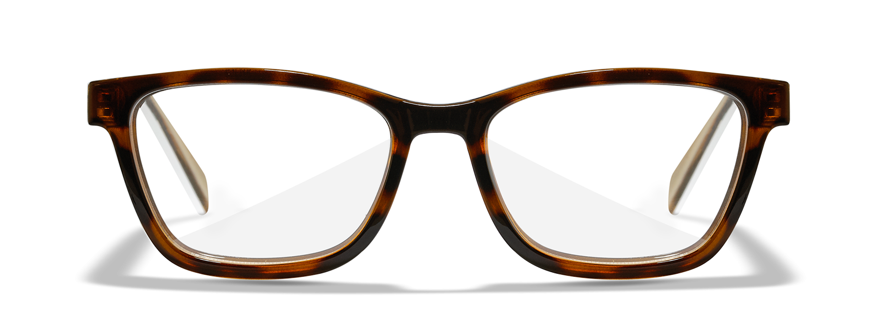 [Gloss Brown Demi/Clear]