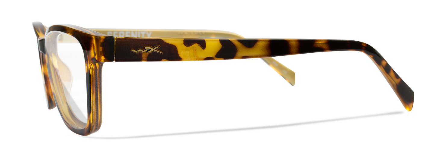 [Gloss Brown Demi/Clear]