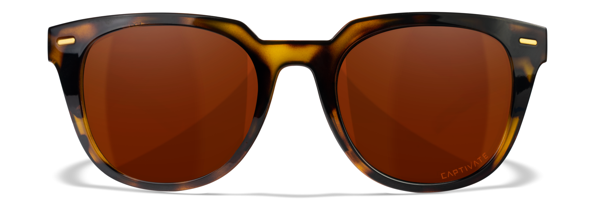 [Gloss Demi/CAPTIVATE™ Polarized Copper]