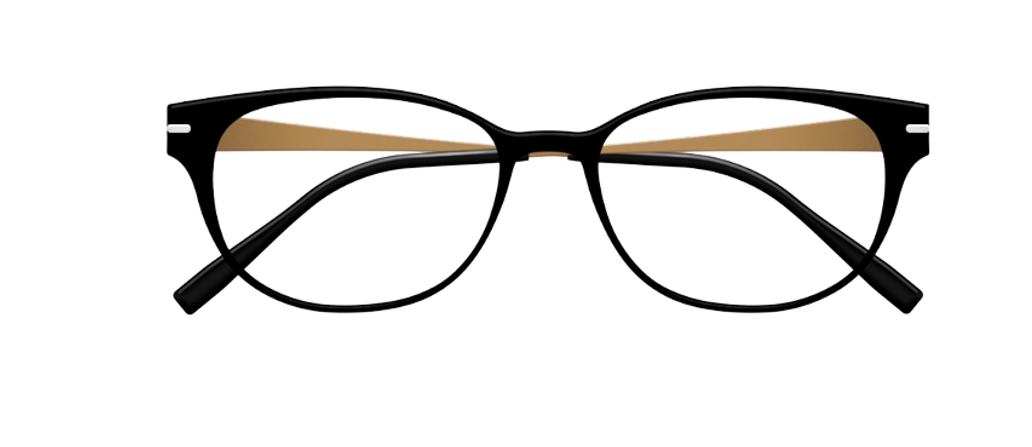 [Satin Black Face - Camel Gold Temples]
