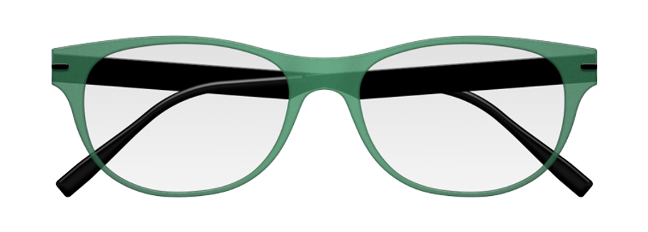 Zenka Cie 1 Frame Only - FC1D