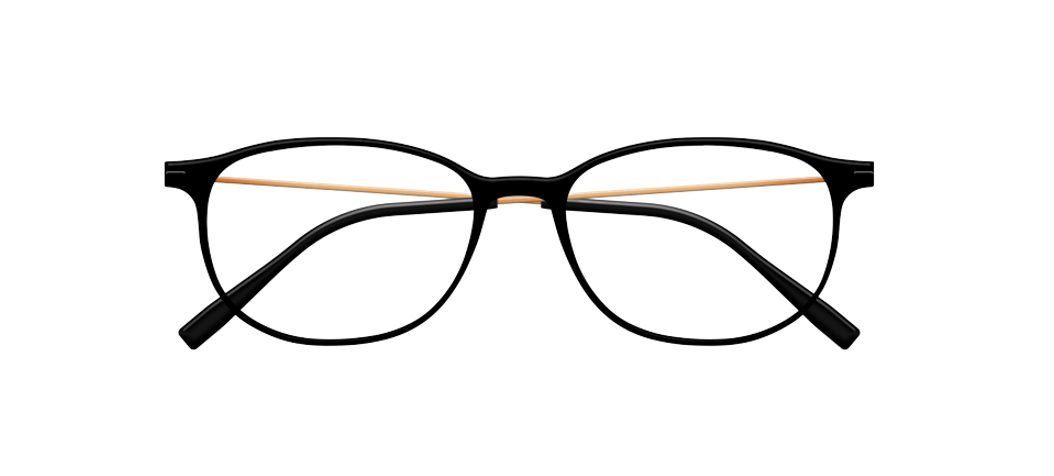 [Satin Black Face - Gold Rose Temples]